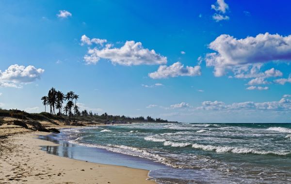 beautiful-sandy-beach-with-palm-trees-rocks-sunny-day